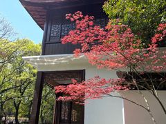 -味德丰·酱鹅(嘉兴新塍店)