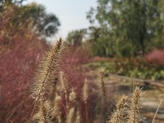 -永定河休闲森林公园