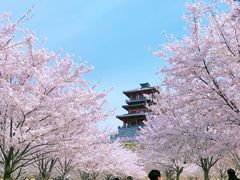 -古柏渡飞黄旅游区