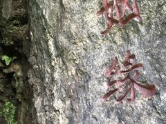 -西陵峡快乐谷(三峡蹦极)