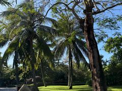 -海南清水湾莱佛士酒店