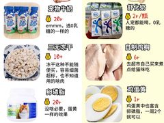 -翊宠yipet猫狗购宠庄园犬舍•猫舍