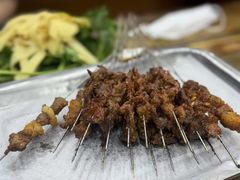 -海波肉串(金顶山大街店)