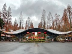 -东平国家森林公园