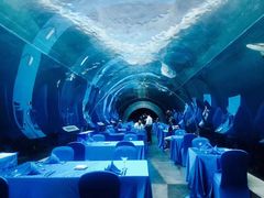 -海棠湾洲际-涛·海底餐厅·美人鱼·自助餐·海底隧道