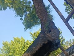 -保定直隶总督署博物馆