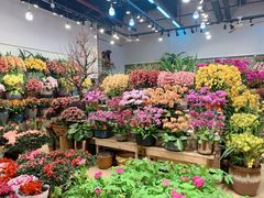 -双季花艺园艺市场(浦东店)