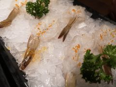 滑嫩青虾-快乐小羊·内蒙牛羊肉火锅(流花中心店)