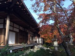 -常寂光寺