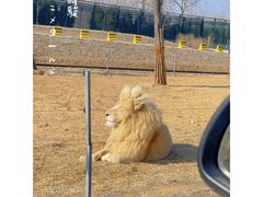 -秦皇岛野生动物园