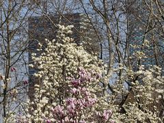 -世纪公园-世纪春沁园