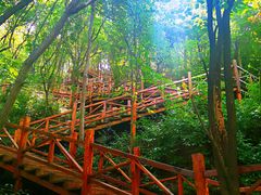 -大岭沟猕猴桃谷风景区