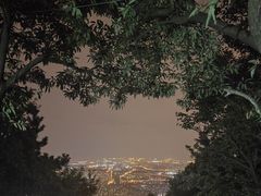 -惠山国家森林公园