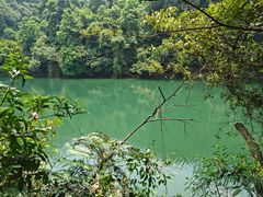 -鼎湖山风景区