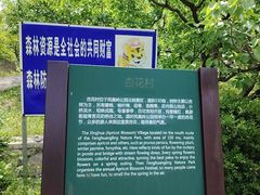 -北京凤凰岭