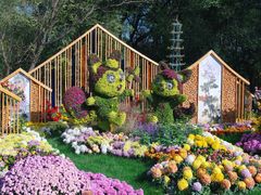 -上海共青森林公园