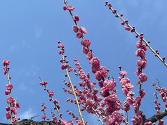 -台州府城(东湖)