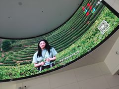-福州长乐国际机场