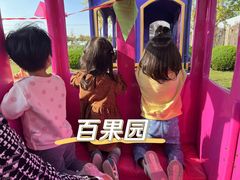 -菊园百果园