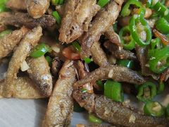 -饭怕鱼(阳光100店)