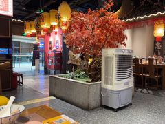 -杨记隆府重庆江湖菜(大悦城店)