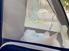 -创凡宠物医院·骨专科  猫科中心(西乡分院)