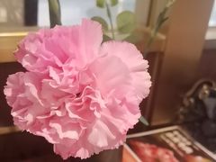 -荷花亭·湖北融合菜(十堰武商MALL店)