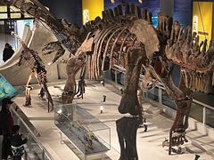 -国家自然博物馆