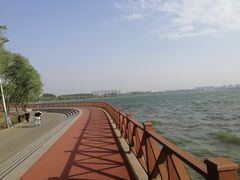 -丁香湖公园