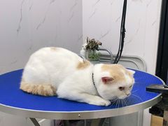 -喜狗宠物生活馆(岳州路店)