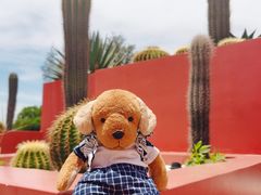 -漳州滨海火山岛自然生态风景区