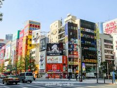 -Animate(秋叶原本馆)
