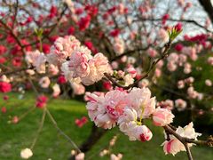 -蜀冈西峰生态公园