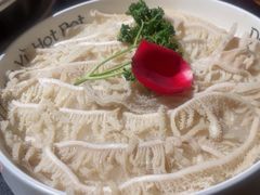-大龙燚火锅(春熙店)