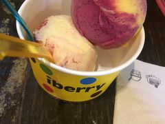 -莓园冰淇淋店