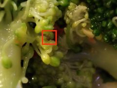 -文和友老长沙龙虾馆(化龙池店)