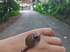 -关西瀑布
