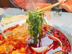 -渝大龙重庆火锅(温泉月亮湾店)