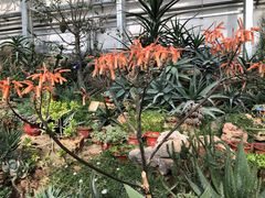 -国家植物园南园