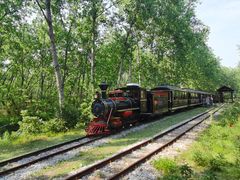 -合肥滨湖国家森林公园