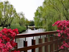 -上海滨江森林公园