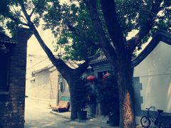 -北京国子监胡同