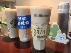 -猫的魔法密林(衣裳街店)