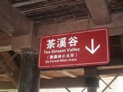 -东部华侨城
