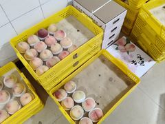 -老袁家蜜桃农场·阳山水蜜桃