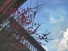 -祝家花園(伯渎港店)