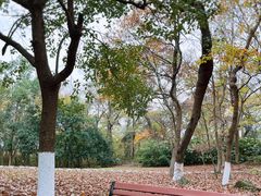 -南京市江宁方山