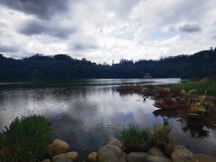 -深圳仙湖植物园