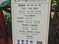 -西双版纳原始森林公园