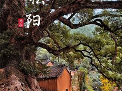-杨家堂村